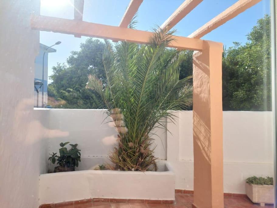 타리파 Piscina, Wifi, Patio Con Vistas 아파트 외부 사진