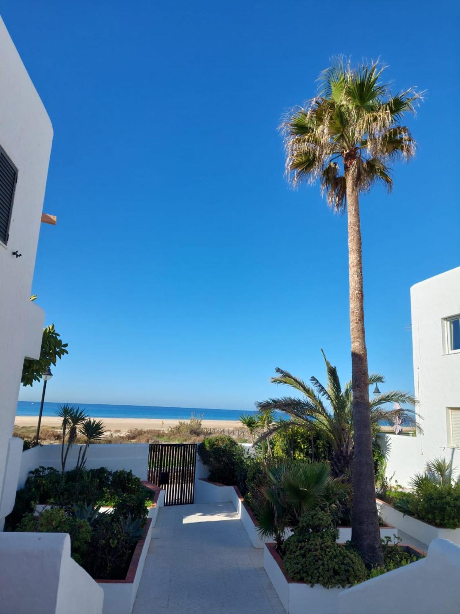 타리파 Piscina, Wifi, Patio Con Vistas 아파트 외부 사진