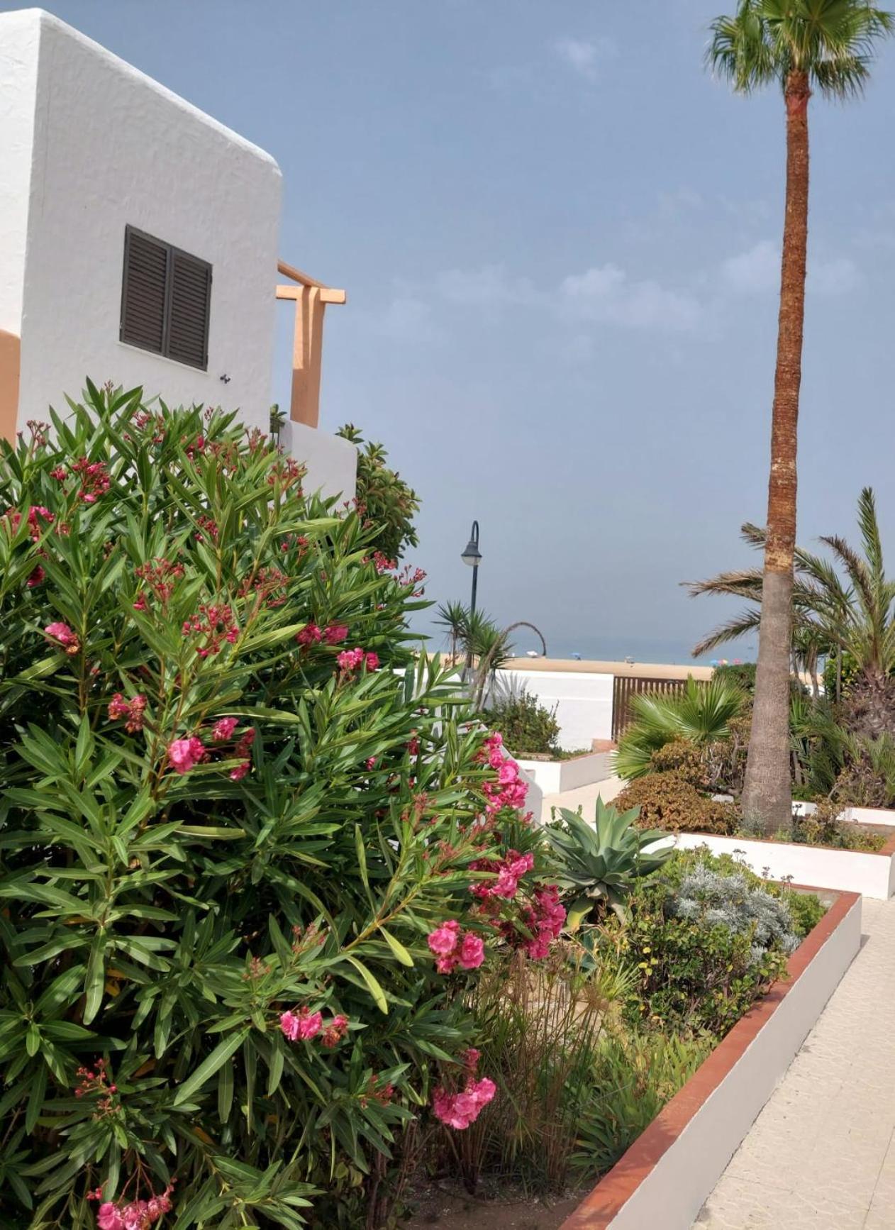 타리파 Piscina, Wifi, Patio Con Vistas 아파트 외부 사진